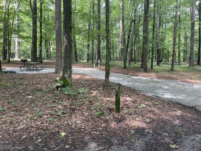 A photo of Site 087 of Loop ANTI at GUNTER HILL with Picnic Table, Electricity Hookup, Fire Pit, Shade, Lantern Pole, Water Hookup