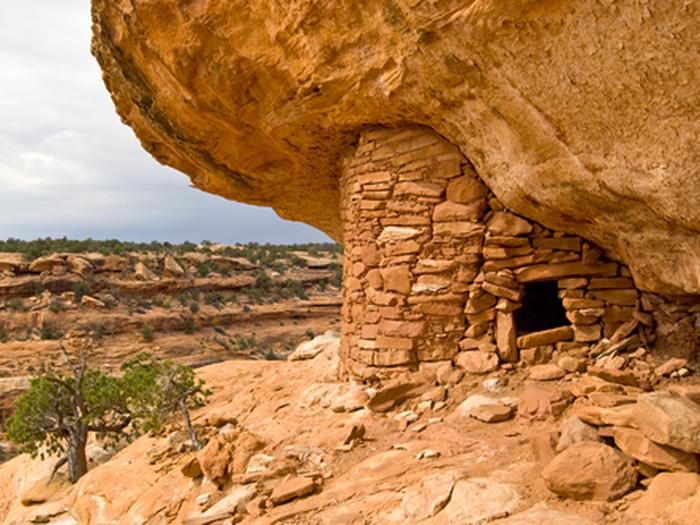 A small, rounded structure made from rocks emerges from beneath a yellow sandstone overhang.Ancestral Puebloan structures are just one of the many amazing resources of the Bears Ears cultural landscape.