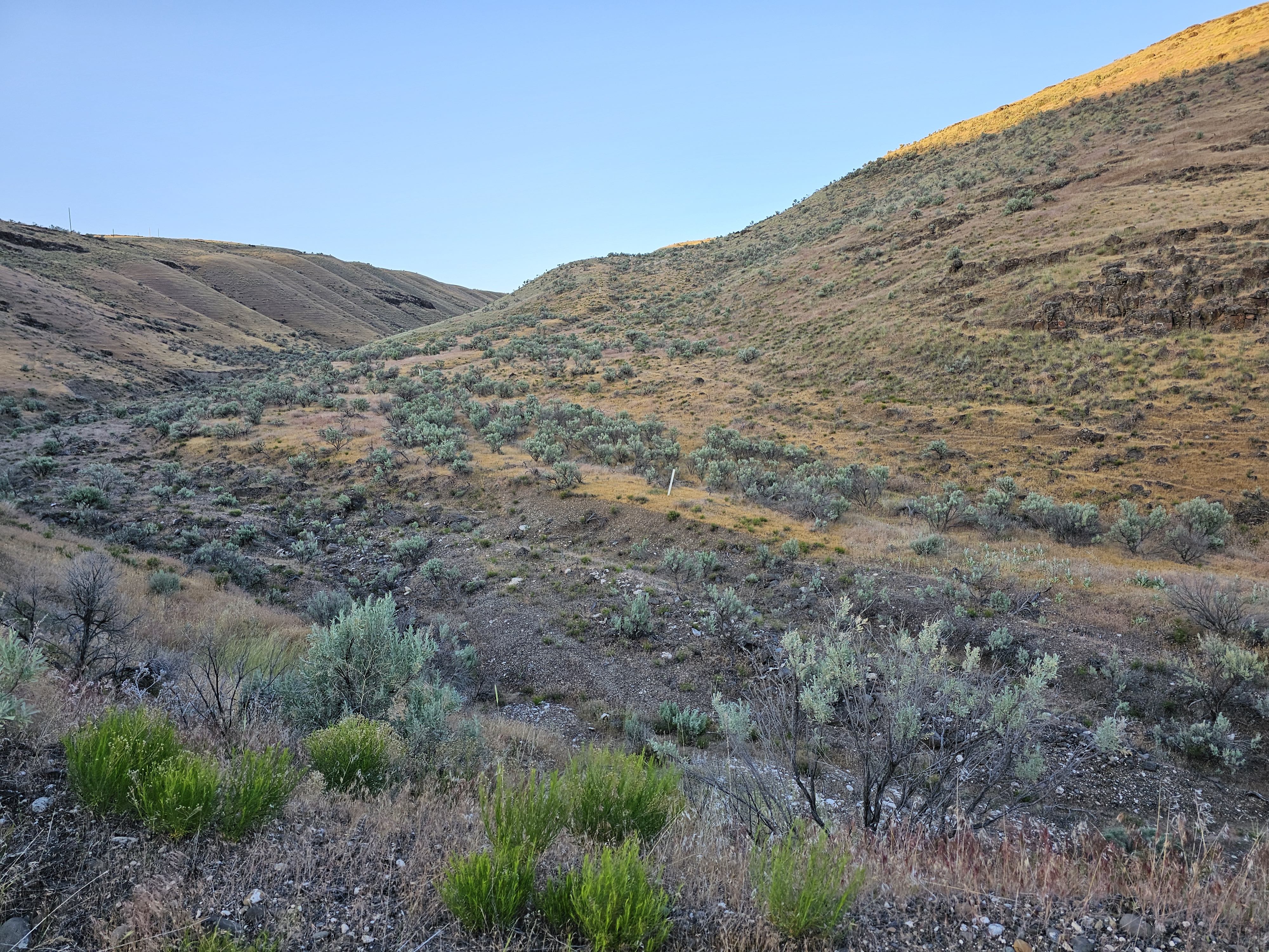 View of hillside descent of the Oregon Trail at the John Day crossing.