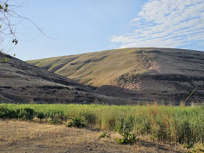 Looking east from the John Day Crossing Historic Site.