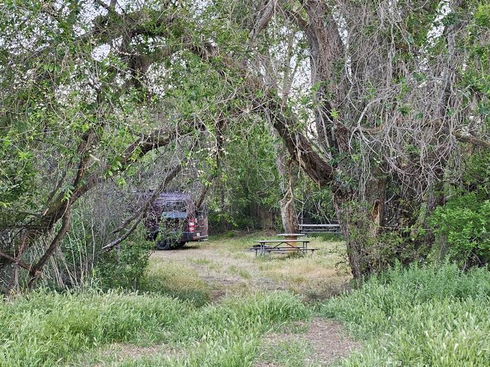 Primitive campsite at the John Day Crossing Historic Site.