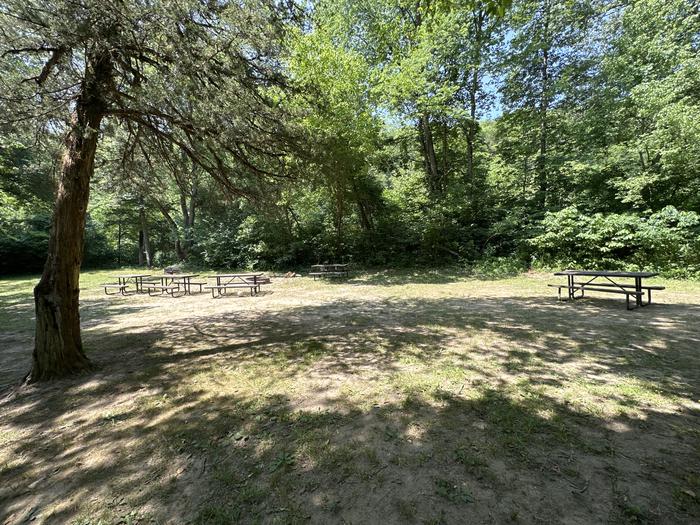 A photo of Site G02 with Picnic Tables and ShadeA photo of Site G02 of Loop Akers Group Sites at AKERS with Picnic Table, Fire Pit, Shade