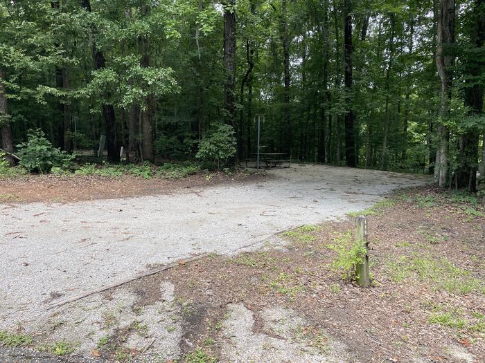 A photo of Site 119 of Loop ANTI at GUNTER HILL with Picnic Table, Electricity Hookup, Fire Pit, Shade, Lantern Pole, Water Hookup