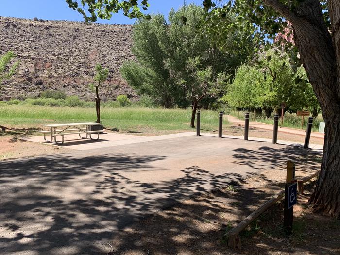 A paved driveway. Facing the end of the driveway, five bollards are at end of site. A picnic table is off to the left side of the driveway. A large tree is off to the right side and a small building is behind it. Many trees are in the background and red cliffs rise up above the tree tops.Site 63, Loop C in summer. Accessible site.
Paved Dimensions: 27' x 47'