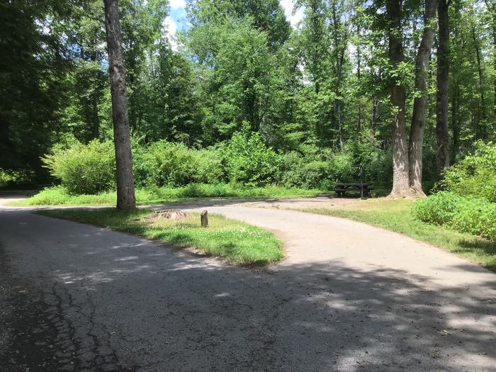 DAVIDSON RIVER Campground, Site 43, Appletree Loop, Located next to bathhouse and water spigot 
