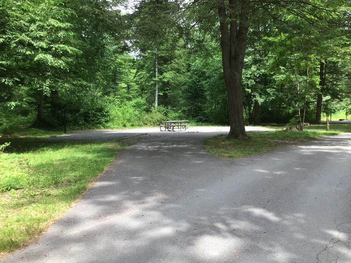 DAVIDSON RIVER Campground, Site 48, Appletree Loop, Double site, Located two sites from bathhouse and across the road from a water spigot 

