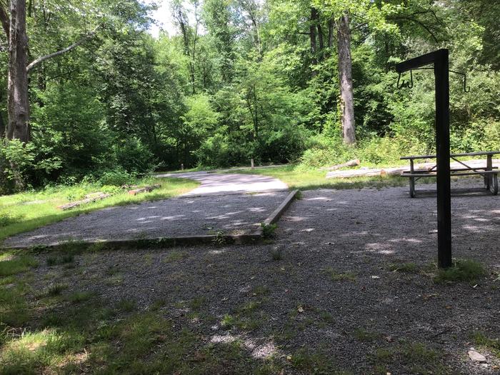 DAVIDSON RIVER Campground, Site 50, Appletree Loop, Located one sitefrom bathhouse and across the road from a water spigot 
