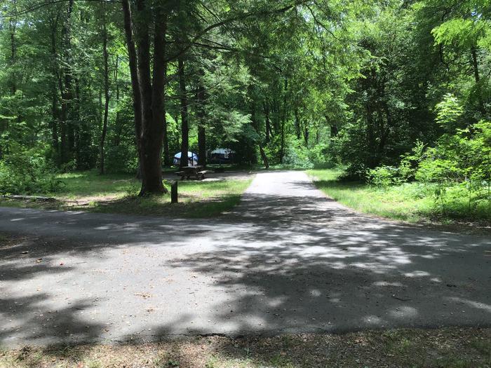 DAVIDSON RIVER Campground, Site 47, Appletree Loop, Located one site from bathhouse and water spigot 
