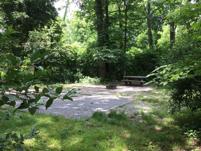 DAVIDSON RIVER Campground, Site 52, Appletree Loop, Located two sites from bathhouse and next to water spigot 
