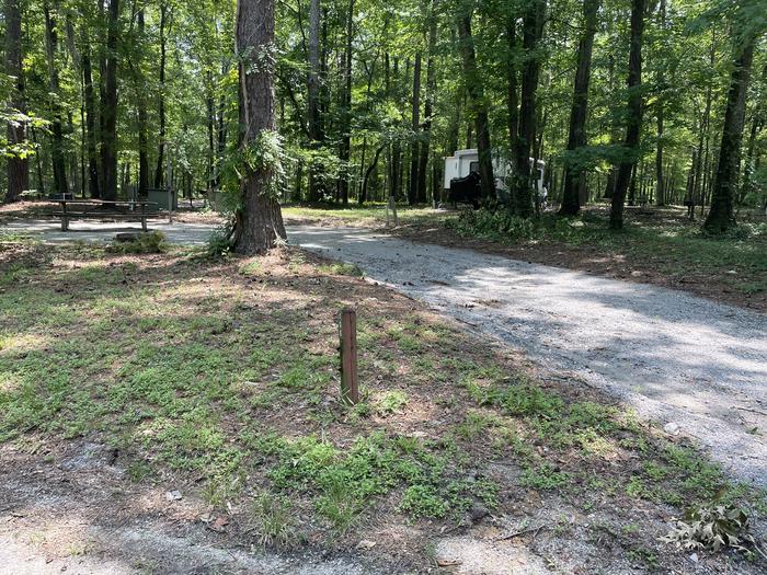 A photo of Site 106 of Loop ANTI at GUNTER HILL with Picnic Table, Electricity Hookup, Fire Pit, Shade, Lantern Pole, Water Hookup