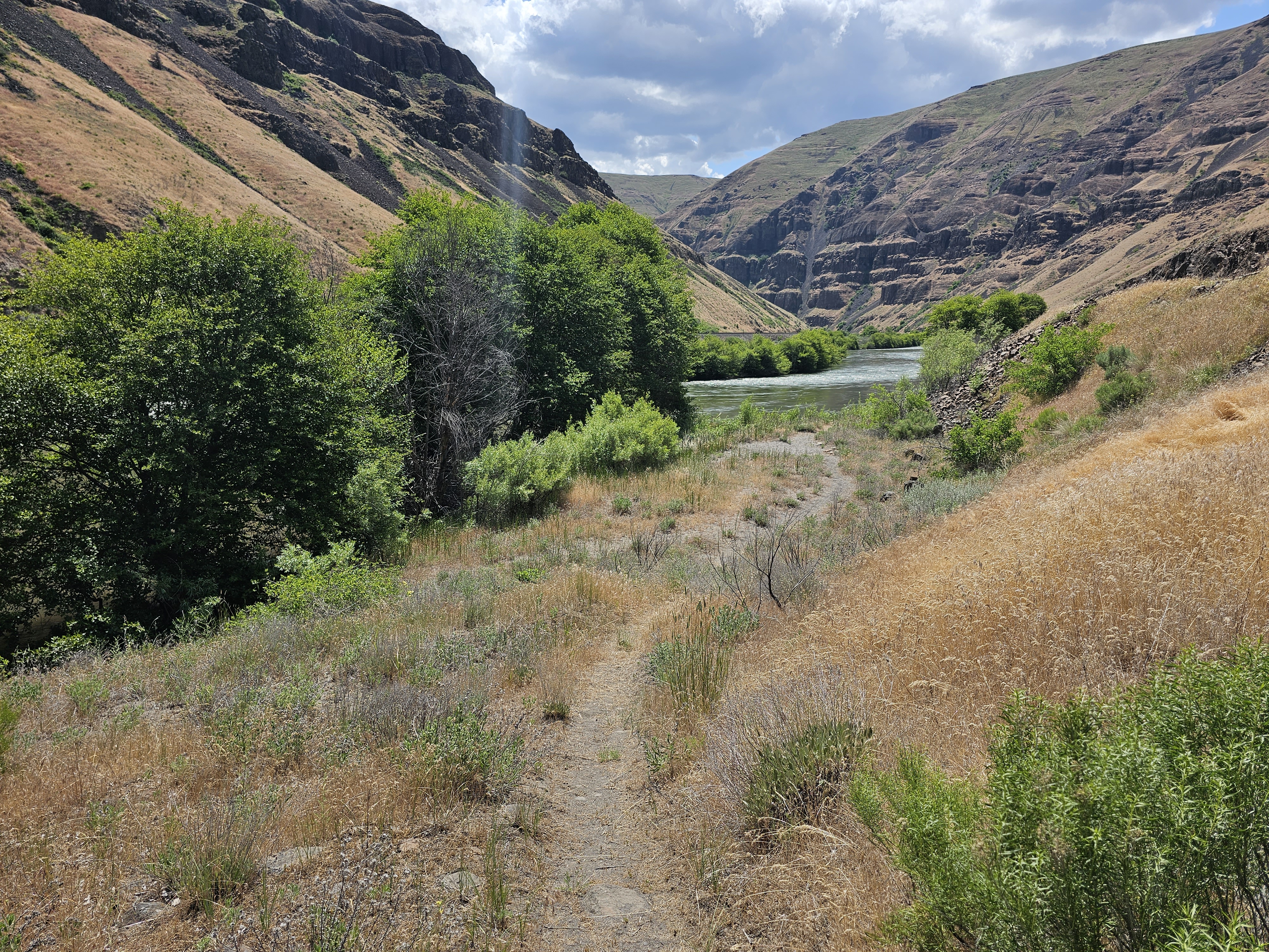 Trail leading to a small beach on the Deschutes River at Oakbrook Day Use Area