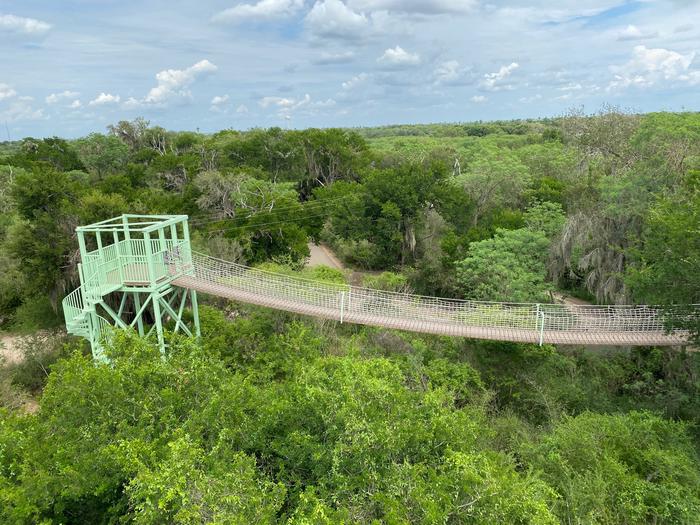 A skyline view of a green wooded area with a suspended walking bridge at tree level connecting to a high rise platform Santa Ana NWR suspended bridge
