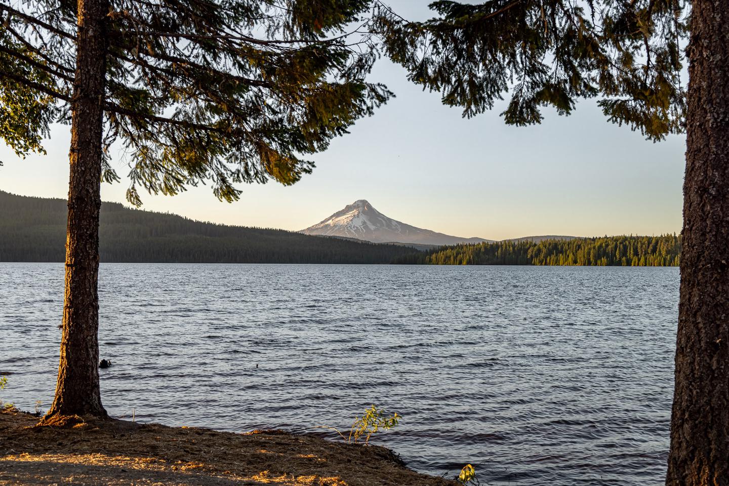 View of Mount Hood from Stone Creek Campground shoreline