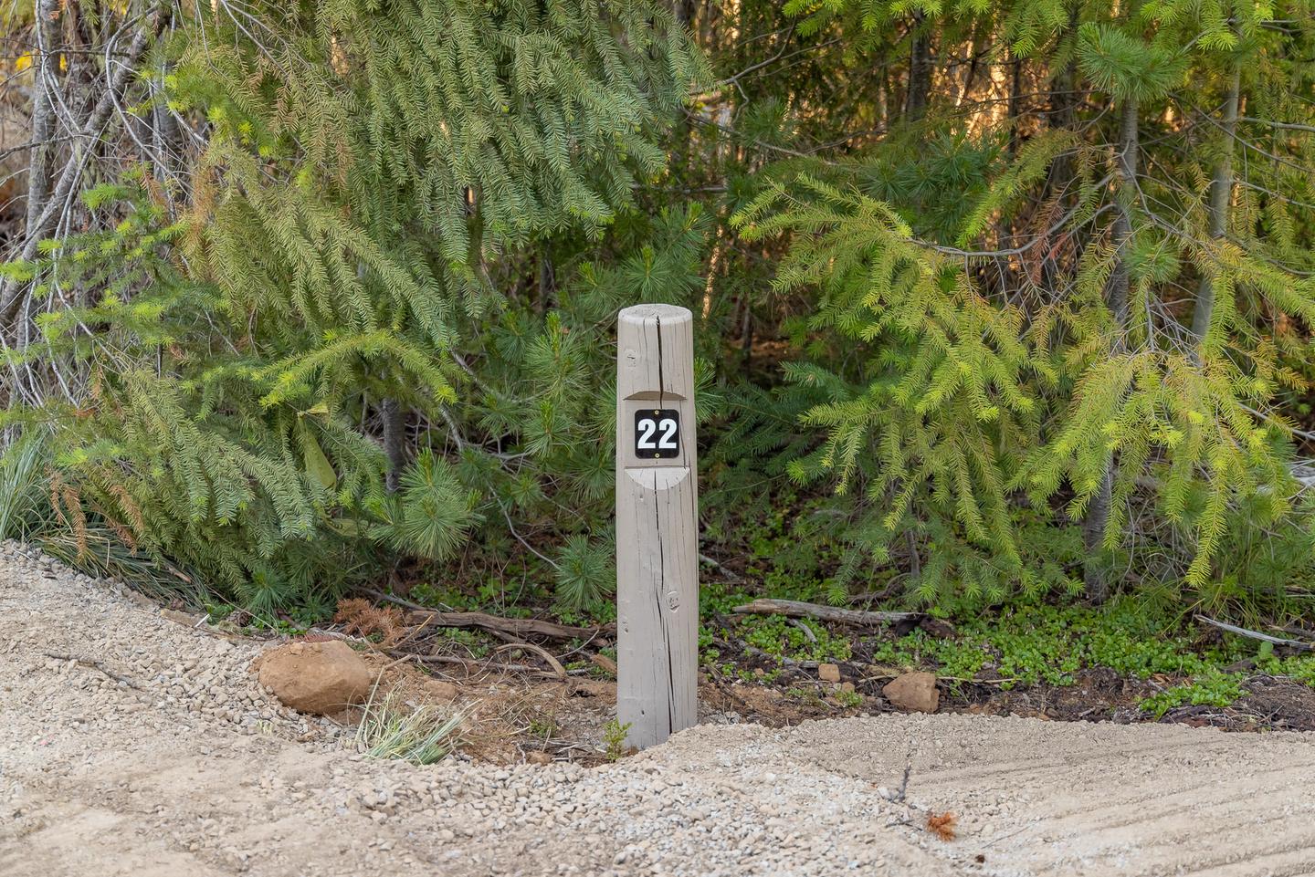 Site 22 at Stone Creek Campground.