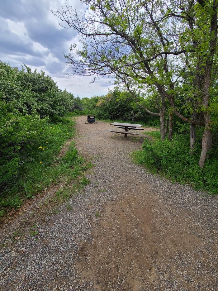 A picnic table and fire ring are surrounded by Gambel oak and serviceberry bushes. Closer view of the surroundings of C12