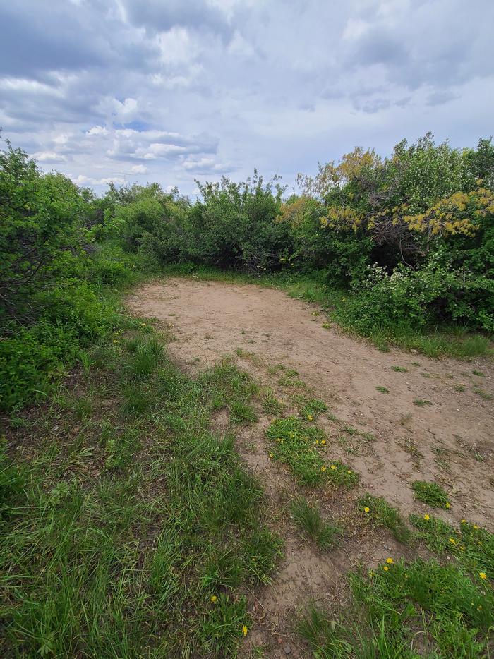 A dirt pad surrounded by vegetation, showing where a potential tent might be placed.Tent location of C12