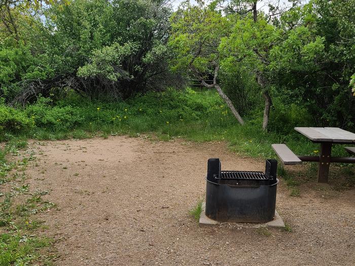 A firering and picnic table are located next to the tent area, surrounded by vegetation. Site view of C24