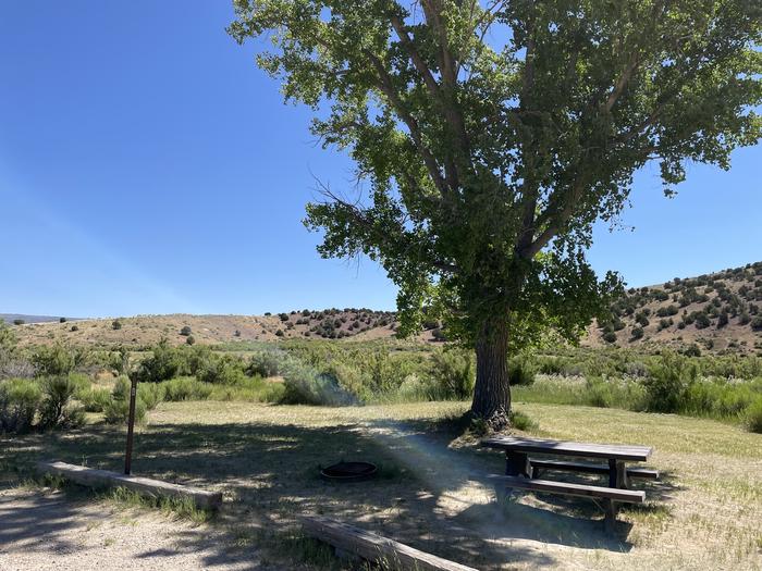 A photo of Site 4 of Loop  at Gates of Lodore Campground with Picnic Table, Fire Pit, Shade