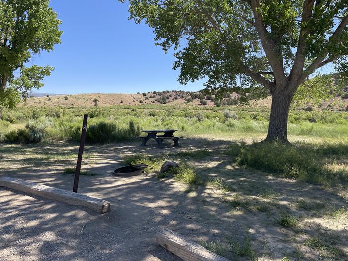 A photo of Site 5 of Loop  at Gates of Lodore Campground with Picnic Table, Fire Pit, Shade