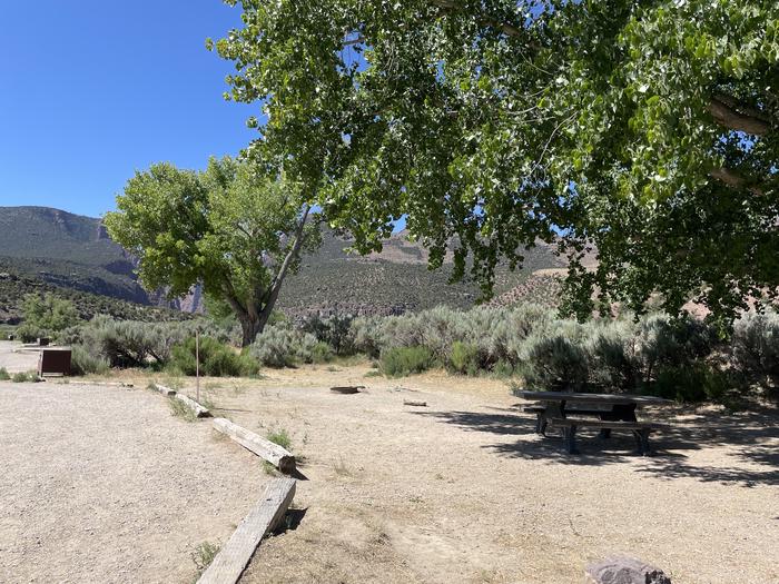 A photo of Site 20 of Loop  at Gates of Lodore Campground with Picnic Table, Fire Pit, Shade, Food Storage
