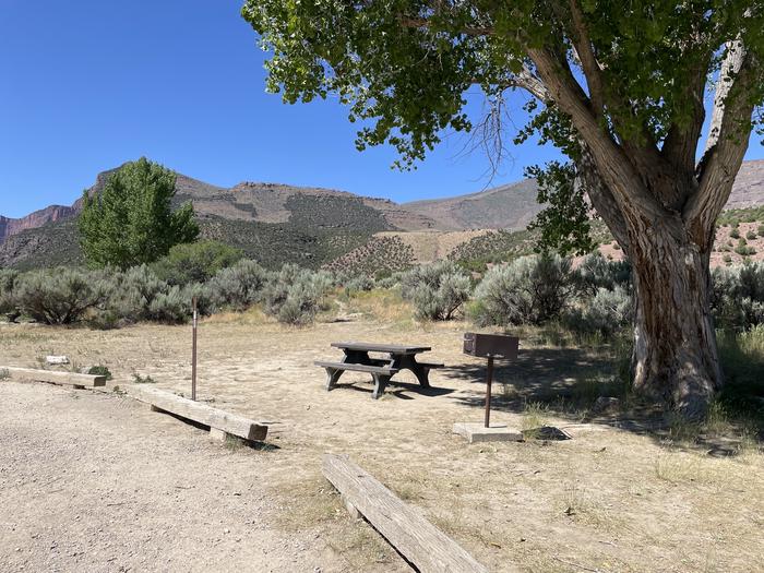 A photo of Site 19 of Loop  at Gates of Lodore Campground with Picnic Table, Shade