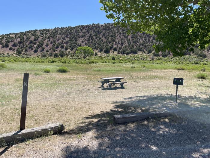 A photo of Site 8 of Loop  at Gates of Lodore Campground with Picnic Table, Shade, Food Storage