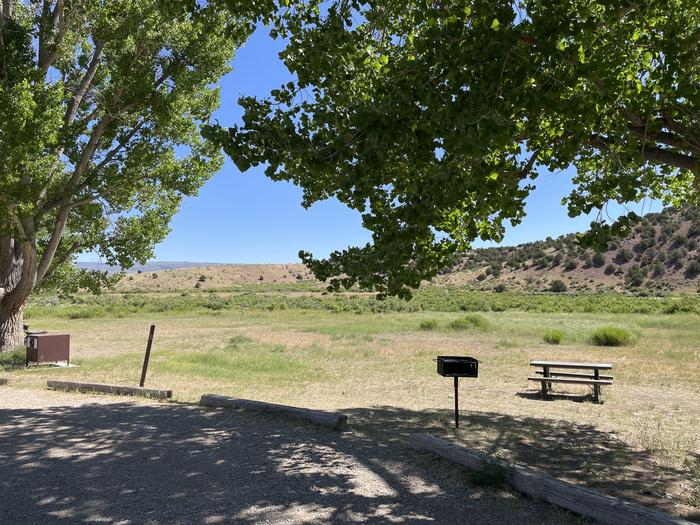 A photo of Site 8 of Loop  at Gates of Lodore Campground with Picnic Table, Shade, Food Storage