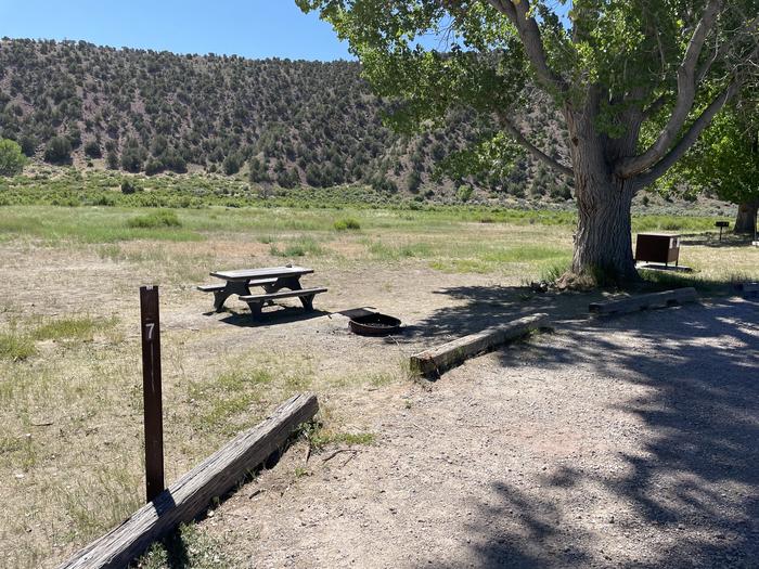A photo of Site 7 of Loop  at Gates of Lodore Campground with Picnic Table, Fire Pit, Shade, Food Storage