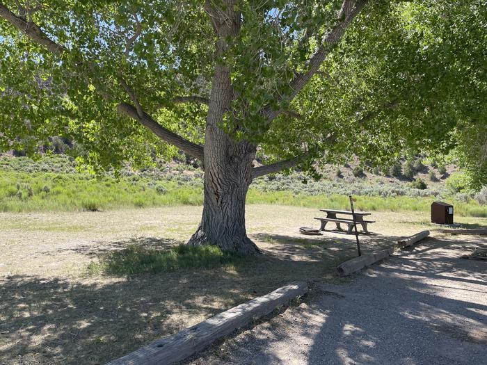 A photo of Site 9 of Loop  at Gates of Lodore Campground with Picnic Table, Shade, Food Storage