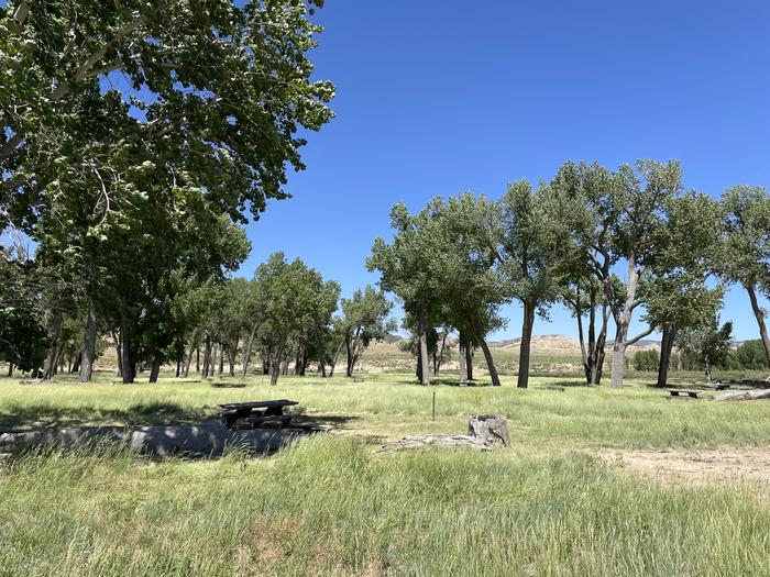 A photo of facility Deerlodge Park Campground wit sites under the shade of Fremont Cottonwood trees and Big Sagebrush in the foregroundA photo of facility Deerlodge Park Campground with Shade