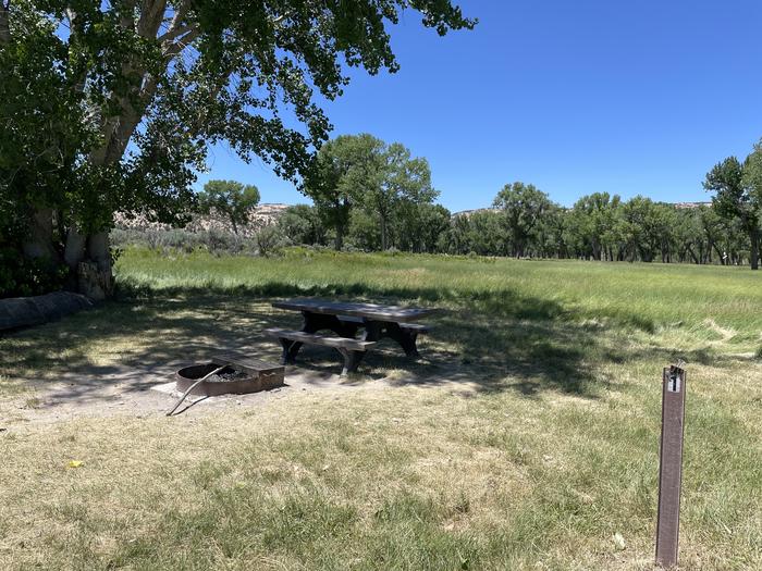A photo of Site 1 of Loop  at Deerlodge Park Campground with Picnic Table, Fire Pit, Shade