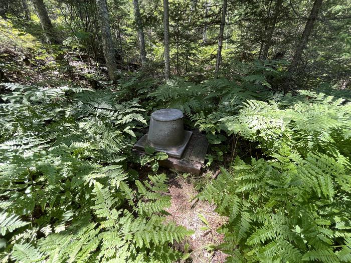 Privy at campsite surrounded by greenery and trees.Privy