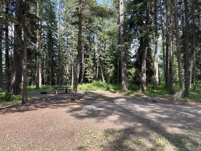 A photo of Site 009 of Loop TALLY LAKE CAMPGROUND at TALLY LAKE CAMPGROUND with Picnic Table, Fire Pit