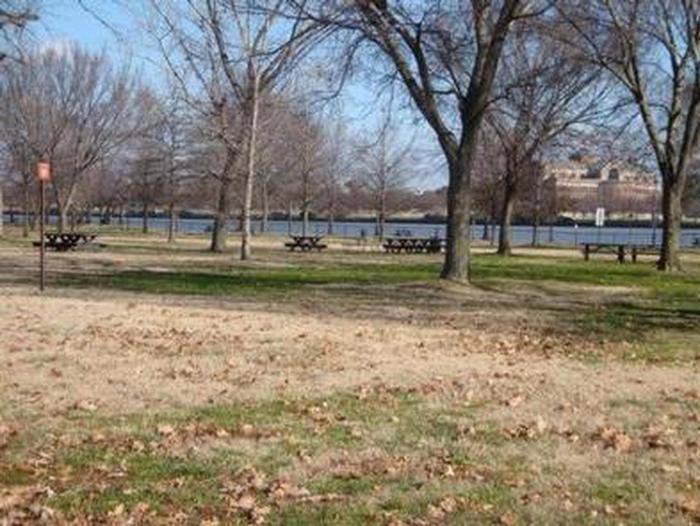 The photo shows picnic benches on a grassy area with scattered trees.Hains Point Picnic Area