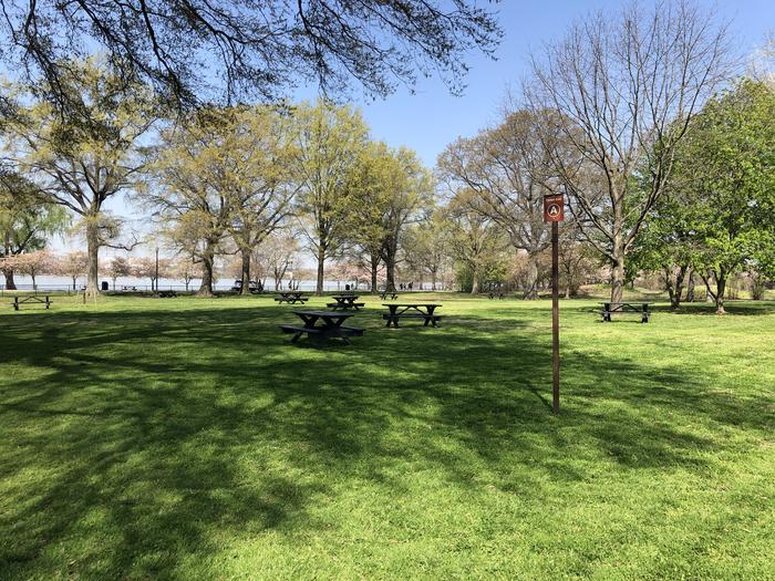 Preview photo of Hains Point Picnic Area (East Potomac Park)