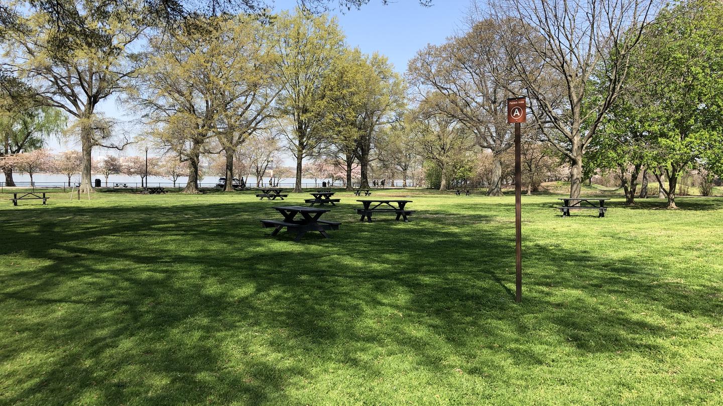 The photo shows scattered picnic benches in Picnic Area AHains Point Picnic Area