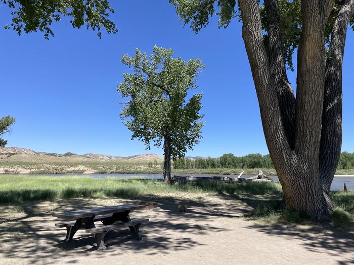 A photo of Site 6 of Loop  at Deerlodge Park Campground with Picnic Table, Fire Pit, Shade