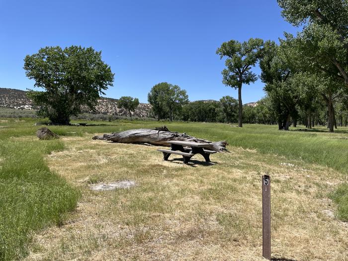 A photo of Site 5 of Loop  at Deerlodge Park Campground with Picnic Table