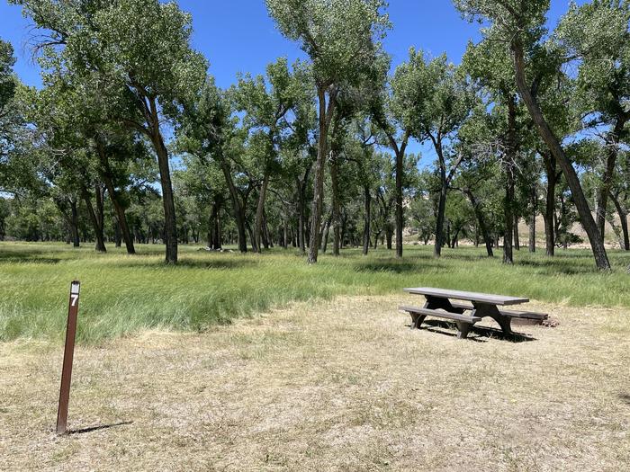 A photo of Site 7 of Loop  at Deerlodge Park Campground with Picnic Table, Fire Pit