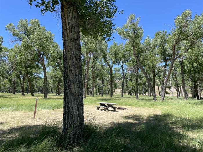 A photo of Site 7 of Loop  at Deerlodge Park Campground with Picnic Table, Fire Pit, Shade