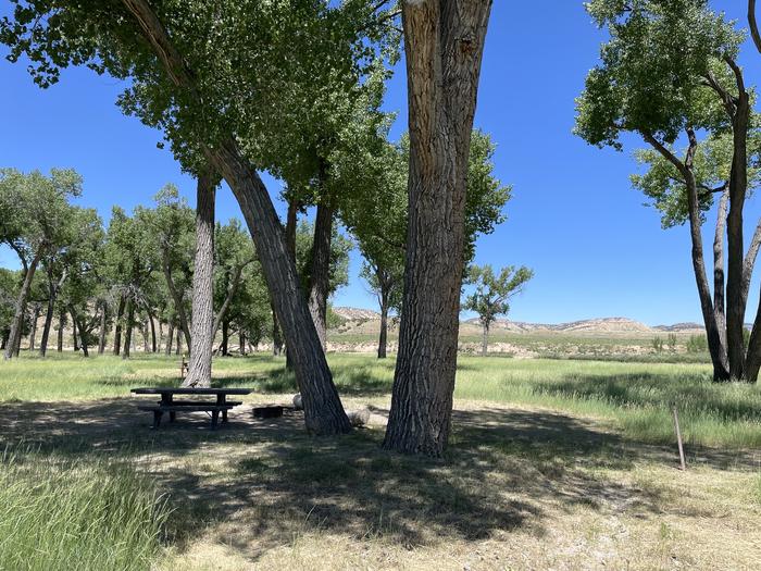 A photo of Site 4 of Loop  at Deerlodge Park Campground with Picnic Table, Fire Pit, Shade