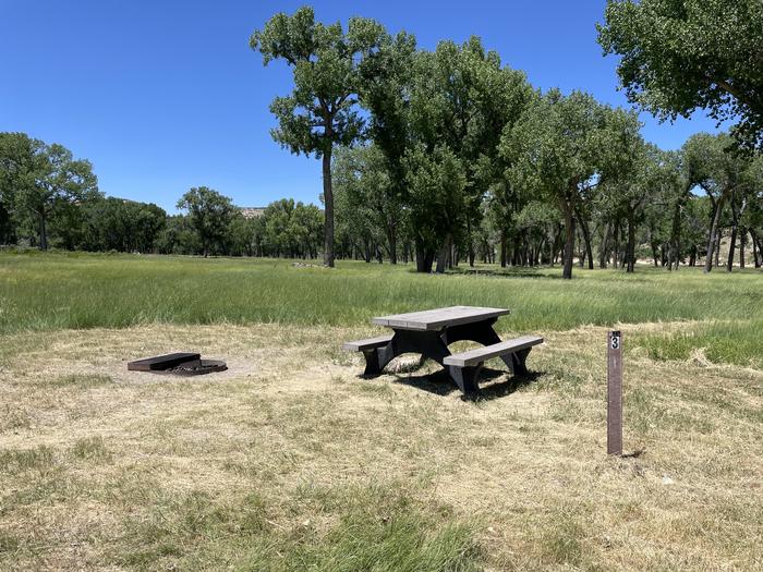 A photo of Site 3 of Loop  at Deerlodge Park Campground with Picnic Table, Fire Pit