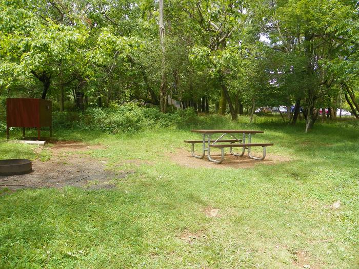 D142Site D142 has a driveway, picnic table, fire ring, tent pad, and food storage box.