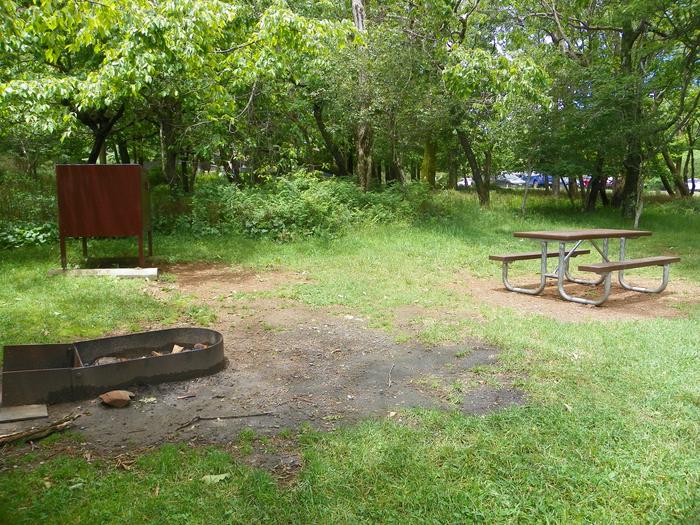 D 142Site D142 has a driveway, picnic table, fire ring, tent pad, and food storage box.