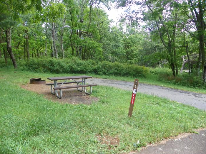 D146Site D146 has a driveway, picnic table, fire ring, and tent pad.