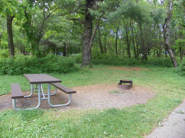 Campsite D146Site D146 has a driveway, picnic table, fire ring, and tent pad.