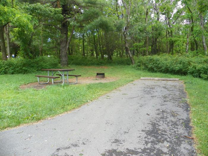 D146 Site D146 has a driveway, picnic table, fire ring, and tent pad.