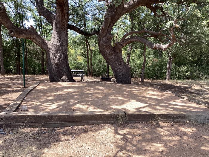A photo of Site 009 of Loop TEJAS PARK at TEJAS PARK with Picnic Table, Tent Pad, Lantern Pole