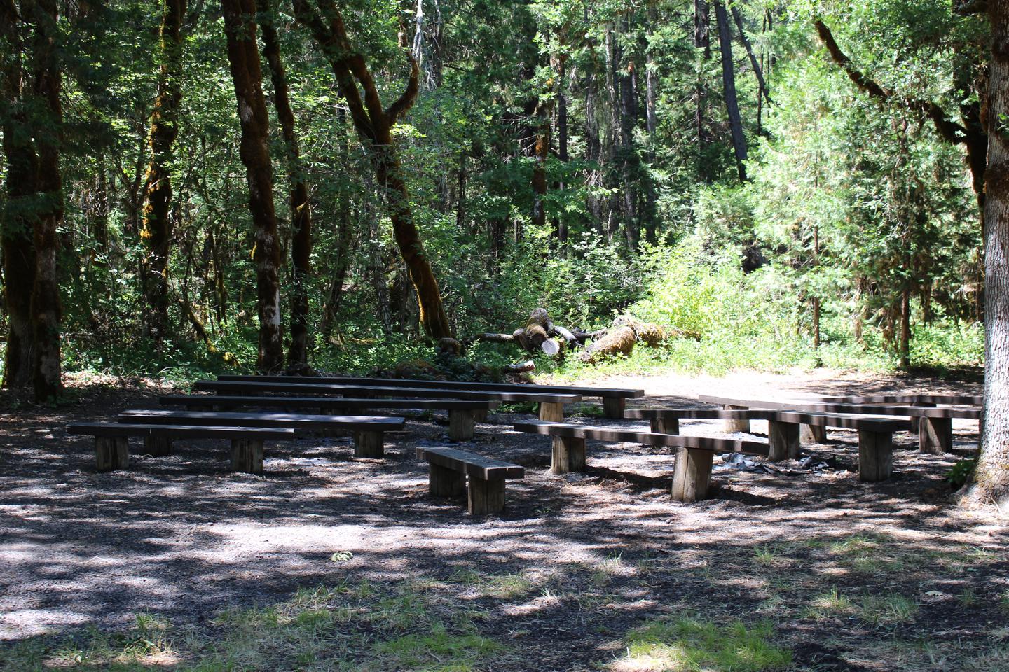 Small ampitheater for holding concerts, shows, or plays Packard Creek group site ampitheater