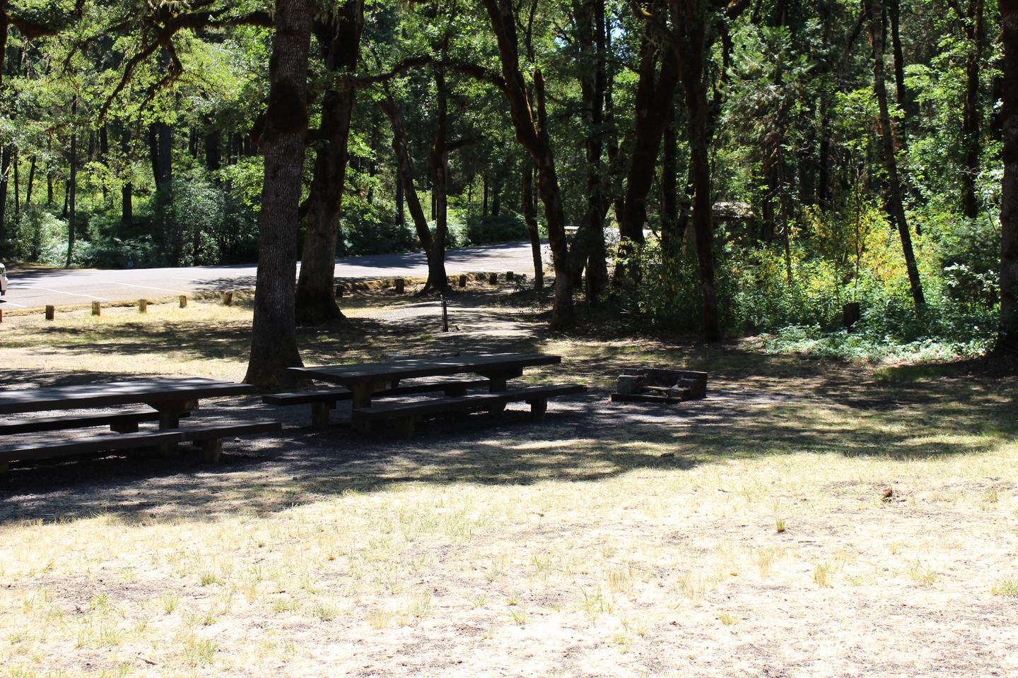 Shaded recreation area with picnic tables and fire ringPicnic area